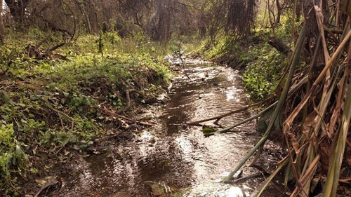 Imagen 13 de 30 de Terrenos Desde 3 Mil M2 A 1 Hectarea En Venta En San Javier, Traslasierras