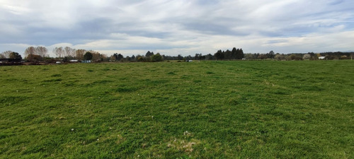 Imagen 5 de 11 de Predio Agrícola 1,5 Ha En Quema Del Buey A 38 Km De Osorno