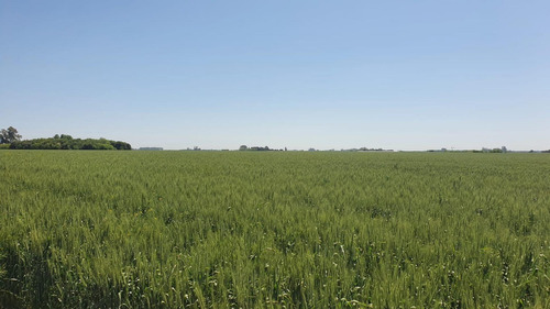 Imagen 7 de 15 de Campo En San Miguel Del Monte - 188 Hectáreas