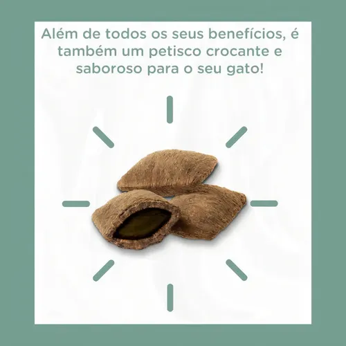 Petiscos Hana Nuggets P/ Gatos Adultos Catnip 60g | MercadoLivre