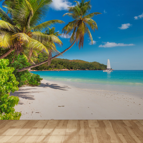 Vinil Adhesivo Tapiz Palmera Orilla Mar Oficina Negocio Sala