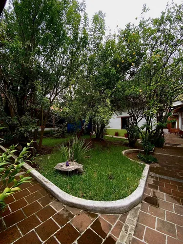 Casa Comercial En Renta Con Local Comercial