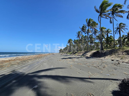 Terreno En Golfo De México, Playa Sol R/a Las Flores, Paraíso Tabasco