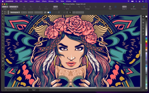 Corel Draw Graphics Suite 2025 Full