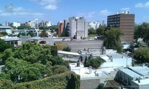 Departamento - Punta Carretas