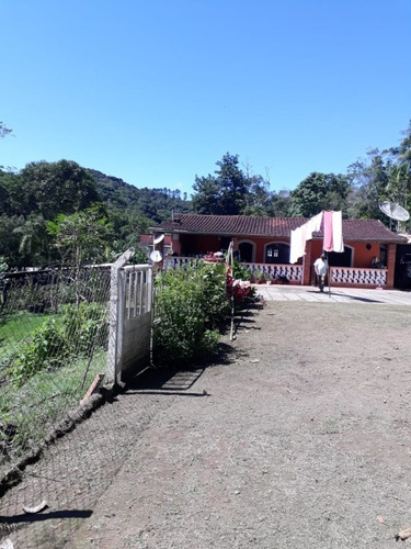 Imagem 8 de 30 de Chacara - 411 - 69484334