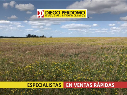 Campo En Venta 42 Has, Rincón De Albano