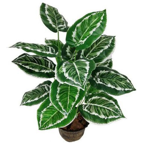 Arvore Planta Aglaonema Larga 18 Folhas 78cm Artificial