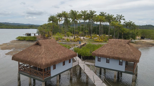 Sitio - Akx01 - 32014508