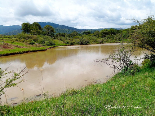 Increíble Terreno Con Manantial
