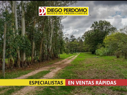 Imagen 11 de 14 de Casa De 3 Dormitorios, En Venta, Ciudad Del Plata