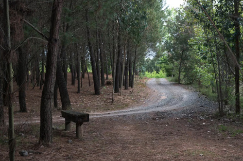 Imagen 30 de 30 de Sitio En Venta En Chillán