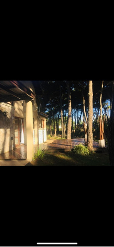 Imagen 3 de 14 de Alquiler Casa Pinamar Zona Norte Frontera Febrero 2023 100 Mts Mar