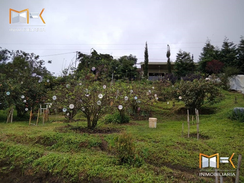 Imagen 1 de 11 de Mk Inmobiliaria Vende Terreno Con Posibilidad De Invernadero Y Chalet Amoblado En El Jarillo 04243452761