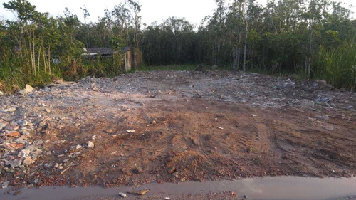 Imagem 6 de 7 de Terreno Escriturado Para Investimento Em Mongaguá