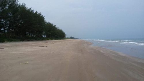 Venta Lotes 600 M² Playa De Barra Galindo Tamiahua Veracruz