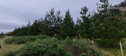 Sitios En Venta En Arauco, Sector Las Peñas