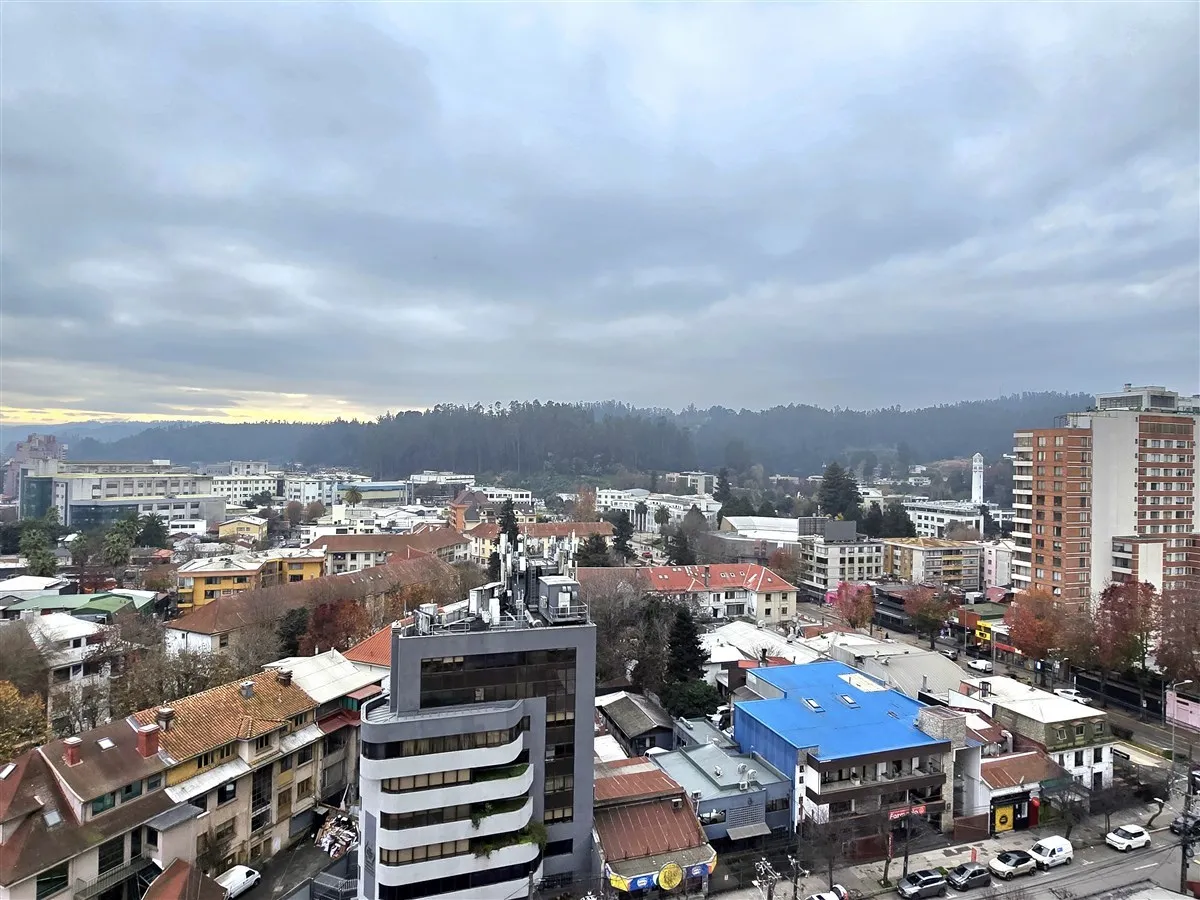 Imagen 4 de 16 de Departamento En Arriendo En Concepción