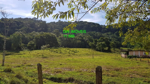 Imagem 8 de 30 de Juquiá/sitio Com Pupunha/ Pasto E 05 Lagos Para Pesqueiro - 04857 - 34121206