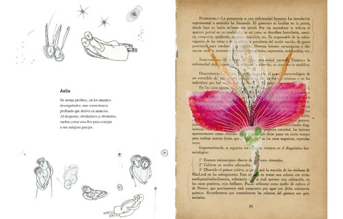 Vademecum De La Flora Naturalis Imaginaria. Calibroscopio
