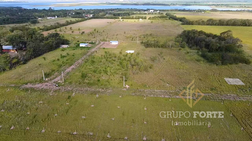 Imagen 14 de 29 de Lotes En Quillinzo
