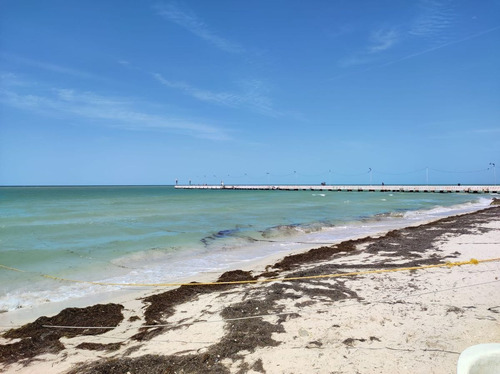 Imagen 19 de 24 de Terreno En Playa Chicxulub En Venta. Con Acceso A La Playa