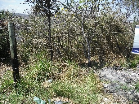 Lote Para Comprar No Cruzeiro Do Sul Em Betim/mg - 232