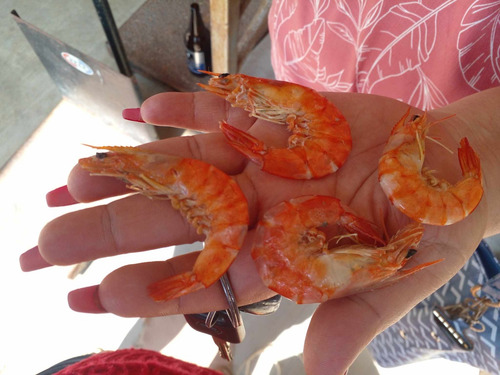 Camarón Seco 1kg Nayarita De Alta Calidad Y Saludable