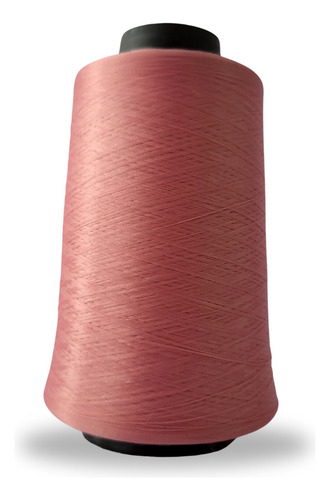 Linha Para Overlock 100g 100% Poliester (tex18) Linhanyl Cor 1081
