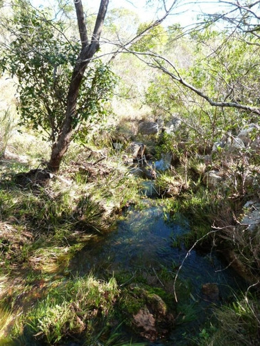 Imagen 15 de 17 de Campo Cerca Ruta 39 En Las Cañas - San Carlos