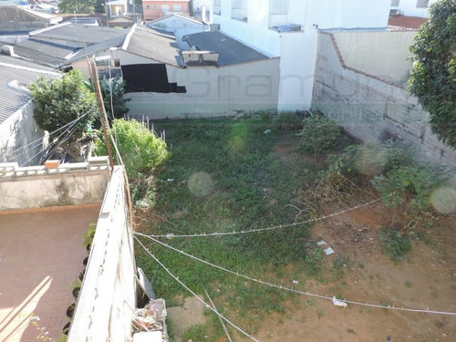 Terreno Em Vila Lúcia - São Paulo - 5819