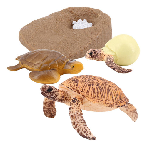Tortuga De Plástico Ciclo De Animal Tortuga Marina 2423