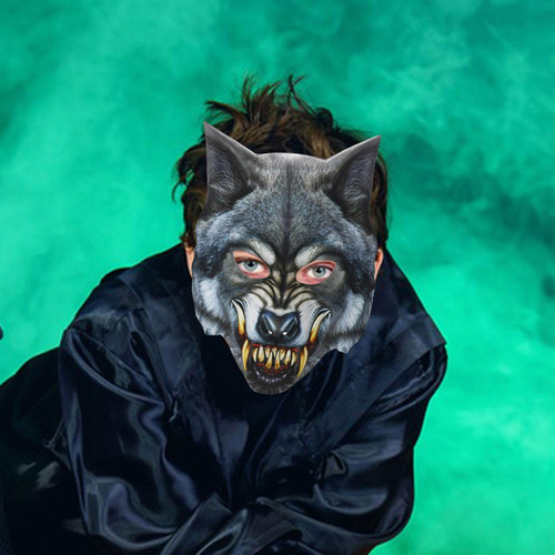 Máscara Animal, Máscara De Cabeça De Lobo Máscara