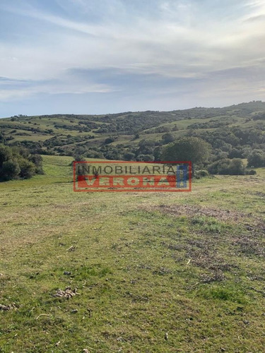 Imagen 20 de 30 de Venta Campo Ubicado En Garzón