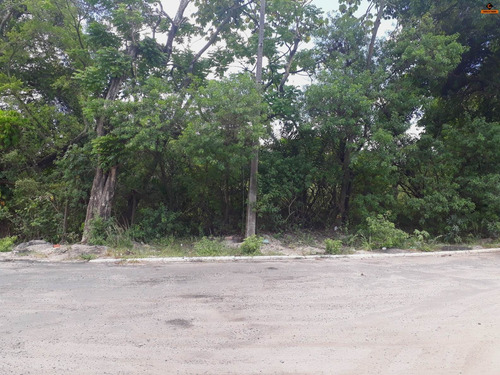 Terreno Em Camaçari - Te00222 - 33892353