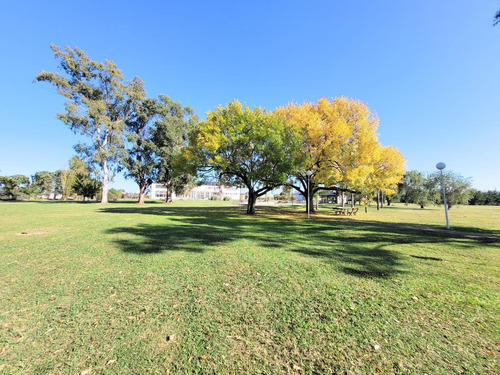 Imagen 8 de 8 de Terreno - Gualeguaychu