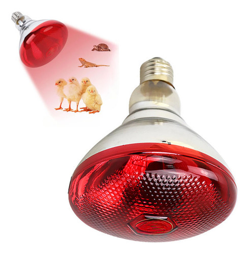 Lâmpada De Isolamento Térmico Para Aves 150w