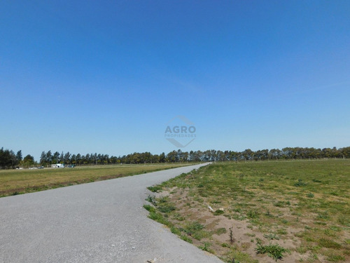 Imagen 20 de 27 de Lote - Venta - Praderas De Cardales - Alto Los Cardales - Zona Norte