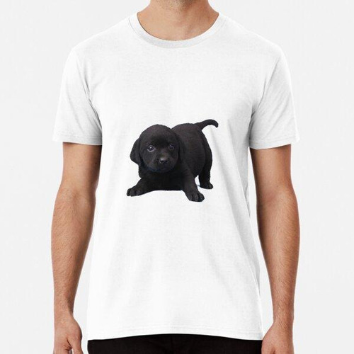 Remera Lindo Perrito Negro Algodon Premium