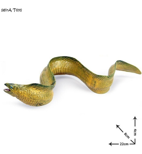 Animales Marinos. Anguila Morena. 22 Cms. Peces. Mar, Oceano