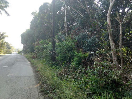 Venta Terreno 5,633 M² Sobre Carretera Juana Moza Tuxpan Veracruz
