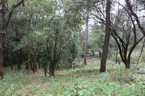 Imagen 4 de 5 de Terreno Con Acceso Inmediato Desde La Carretera Federal