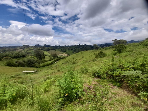 Encantador Lote Con Casa Campesina En Venta Marinilla Para Parcelar