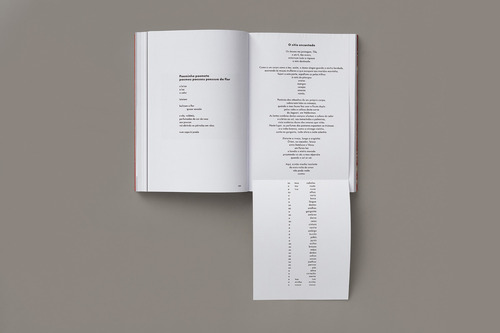 Livro Poesia Pois É Poesia De Décio Pignatari Edição 1 Português 2025 Editora Companhia Das Letras