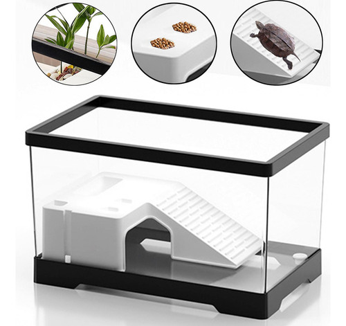 Tanque Para Tortugas De Agua Con Área De Negro Medio