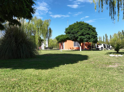 Complejo De Cabañas En Venta - 3 Ufs - Mendoza