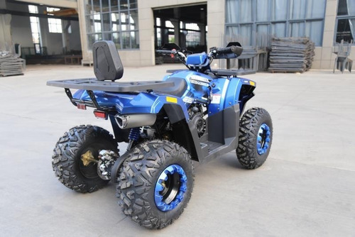 Imagen 11 de 11 de Cuatrimoto Braves 200cc Automatica 0 Klm 2021 Pantalla Digit