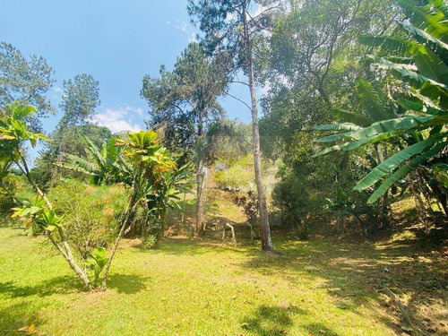 Imagem 3 de 24 de Casa Com 5 Dormitórios À Venda, 246 M² Por R$ 750.000,00 - Prata - Teresópolis/rj - Ca1172