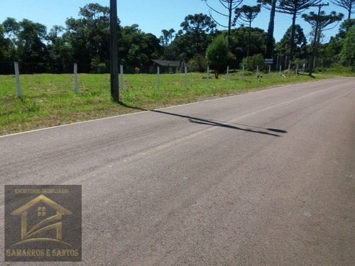 Imagem 4 de 4 de Chácara Com 5.000 M² Em Quatro Barras - Ch00027 - 33606164