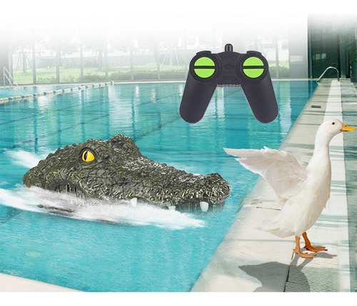 Barco De Cabeça De Crocodilo
